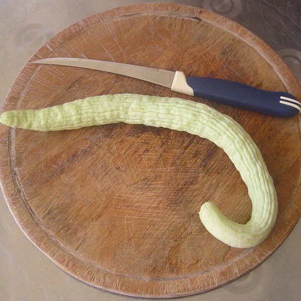 Cucumber Seed