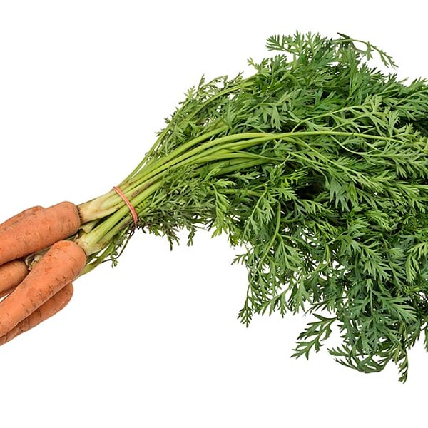 Carrot Seed
